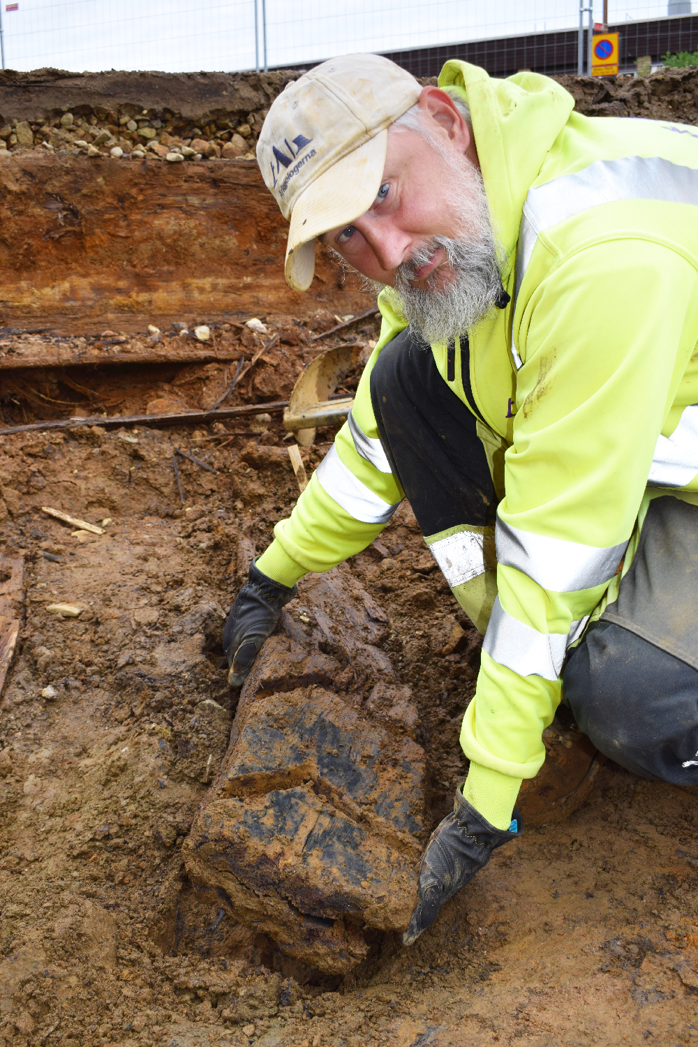 Arkeolog Fredrik Larsson visar trädetalj från vattenhjulet. Foto: Arkeologerna CC-BY.
