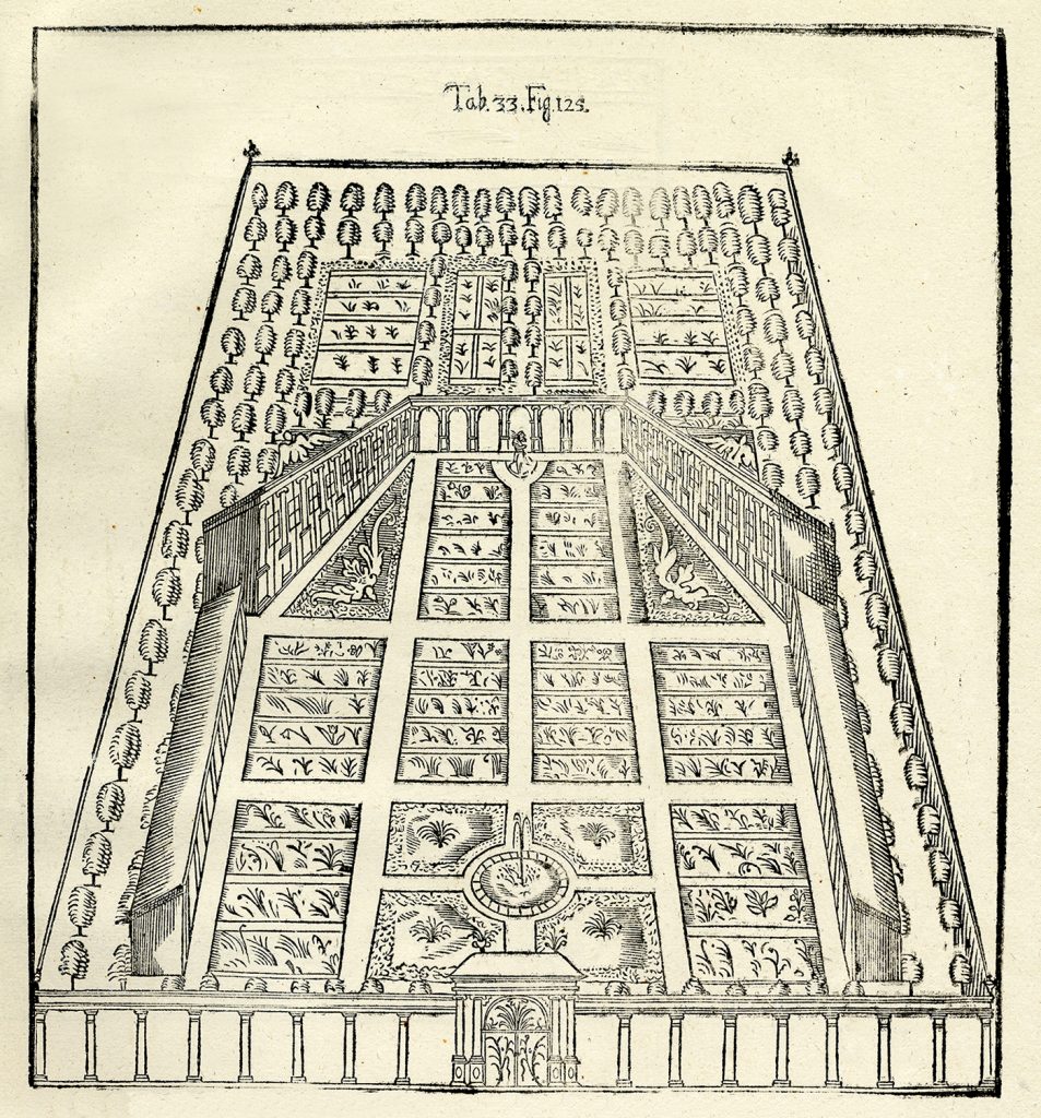 Olof Rudbeck den äldres Hortus Upsaliensis publicerad i Atlantica år 1679
