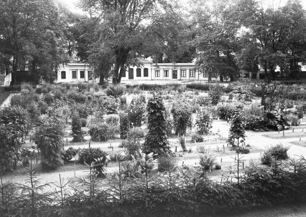 Svartvitt foto av trädgården med Orangeriet i bakgrunden. 
