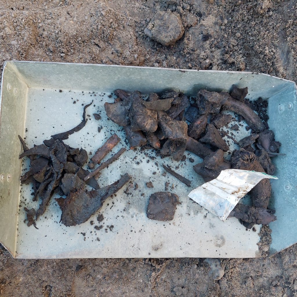 Vi hittar mycket av skomakarens läderspill (till vänster) och matavfall, kastat för sisådär 800 år sedan.