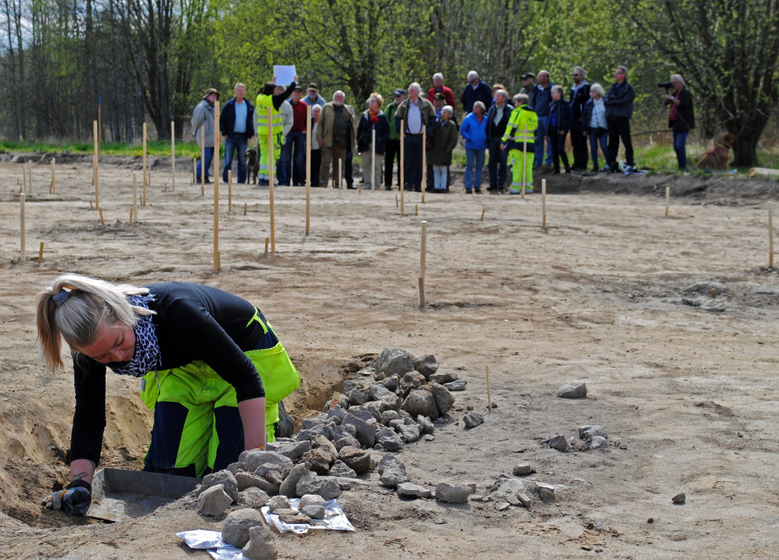 En arkeolog gräver i marken och en grupp människor står bakom och tittar på.