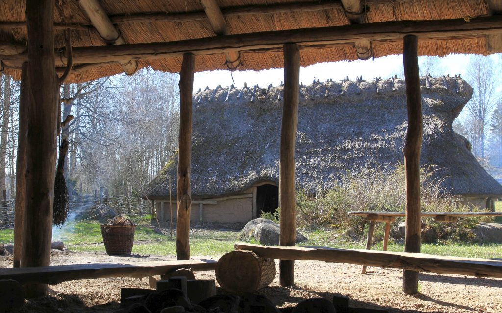 Bild på rekonstruerade långhus från Ekehagens forntidsby.