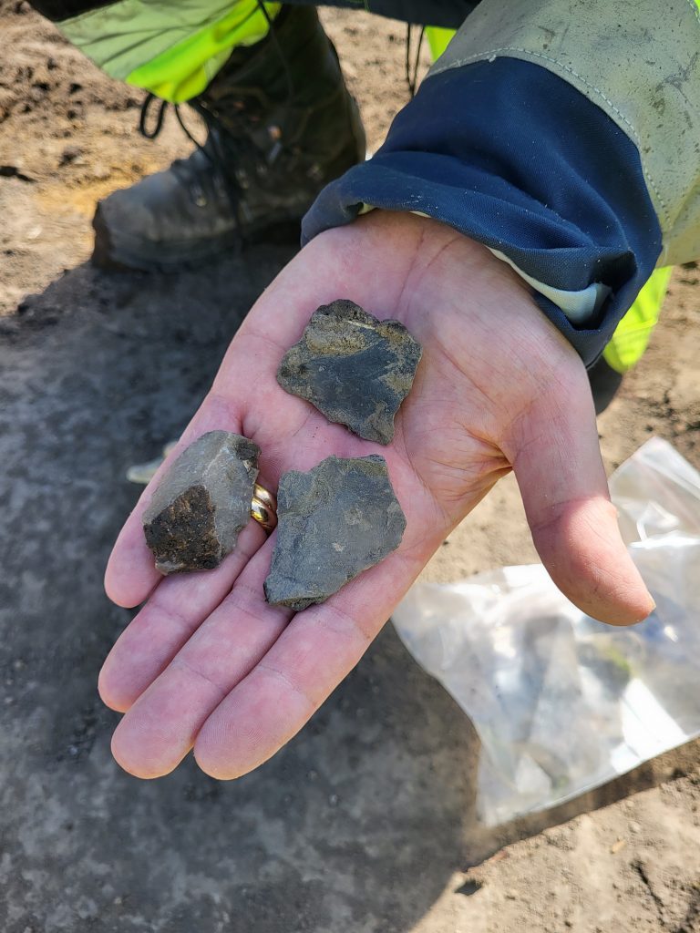 En arkeolog visar några av de flintbitar som hittats under utgrävningen.