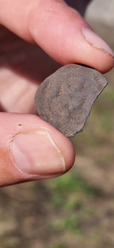 Ett grå-brunt färgat halvt mynt precis upplockat från jorden. 