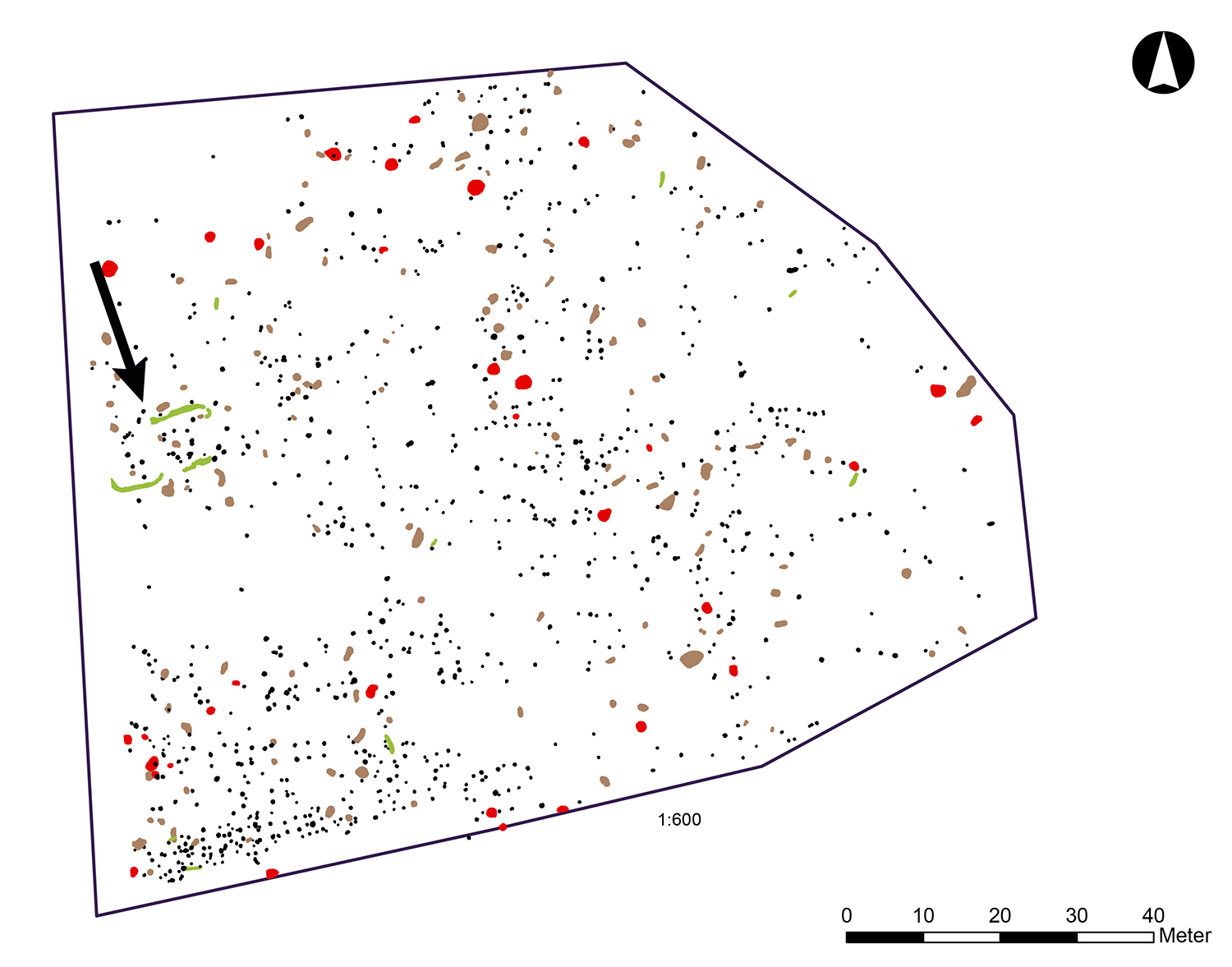 Plankarta över den västra delen av undersökningsytan. Totalt registrerades inte mindre än cirka 2 000 anläggningar, det vill säga stolphål, gropar, härdar, rännor osv. Stolphålen är markerade med svart, gropar med brunt, härdar med rött och rännor med grönt. 