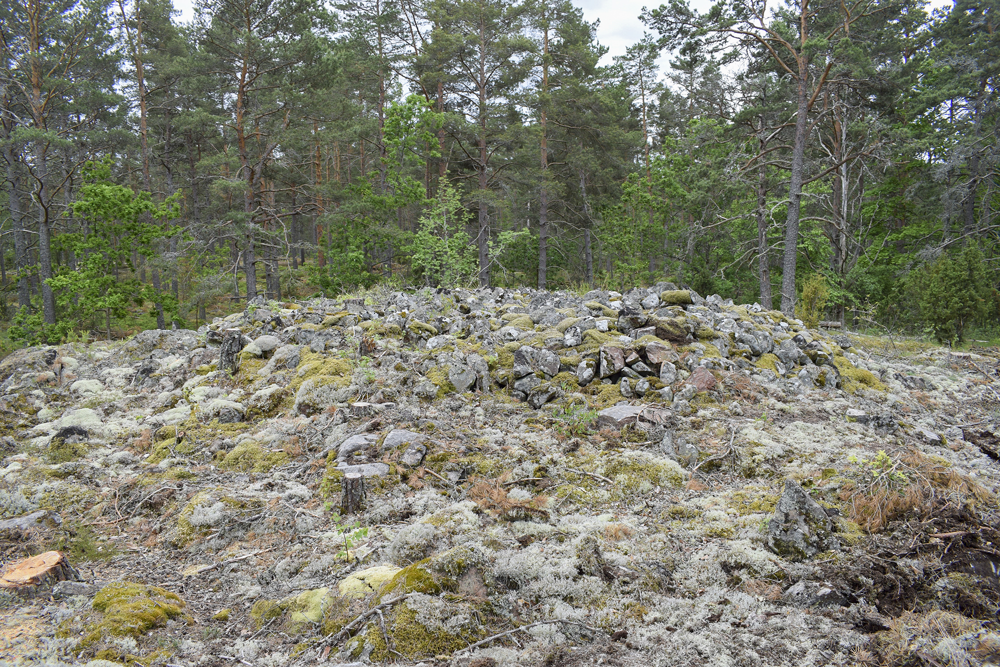 Simpevarp. Röset innan undersökning