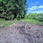 Elväg vid E20, sträckan Adolfsberg–Brändåsen