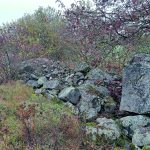 Ny kraftledning mellan Arboga, Kungsör och Köping