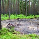 Kolning och torp på Stigtomtamalmen