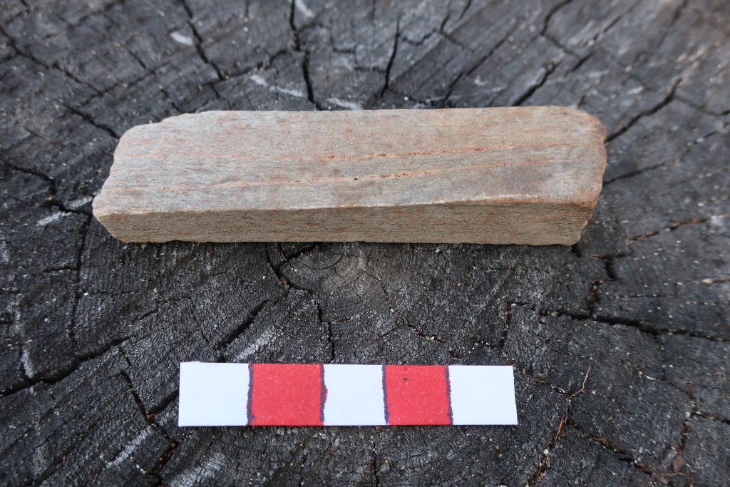 En fyrkantig sten som vilar mot en mörk stubbe.