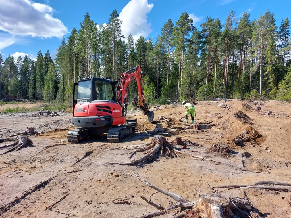 En arkeolog står med korphacka bredvid en grävmaskin på ett kalt område där det bara syns stubbar. Skog i bakgrunden.