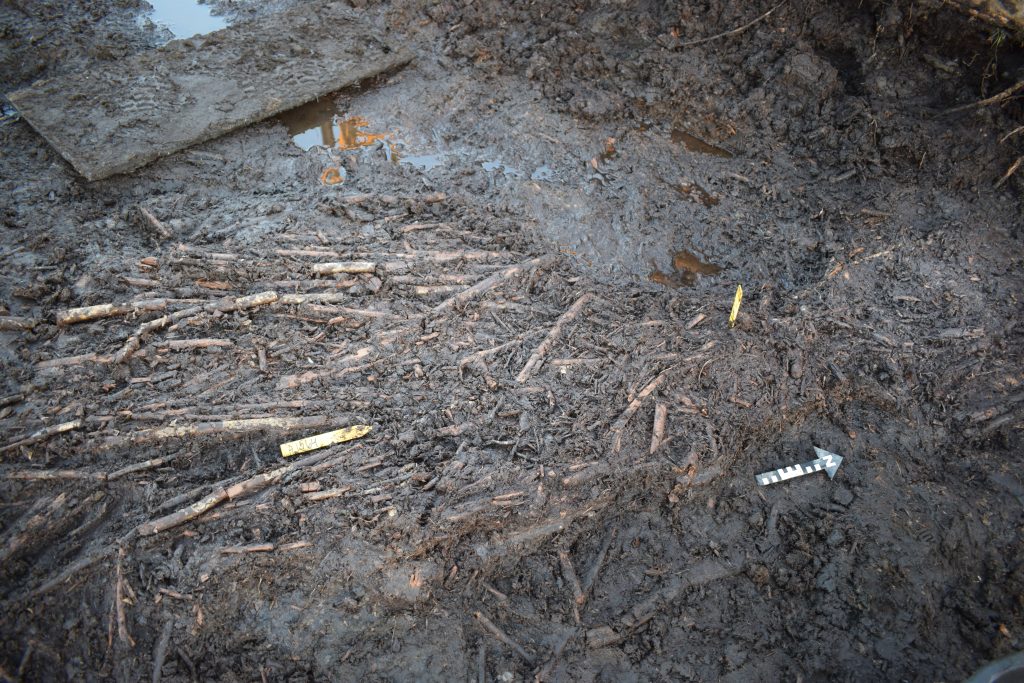 Trärester mot en mörk bakgrund.