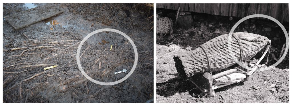 Svartvita foton på en mjärde.