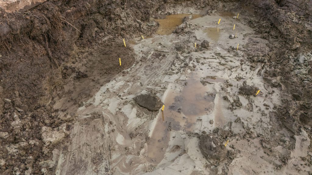 Bruna fläckar och fördjupningar i leran och marken.