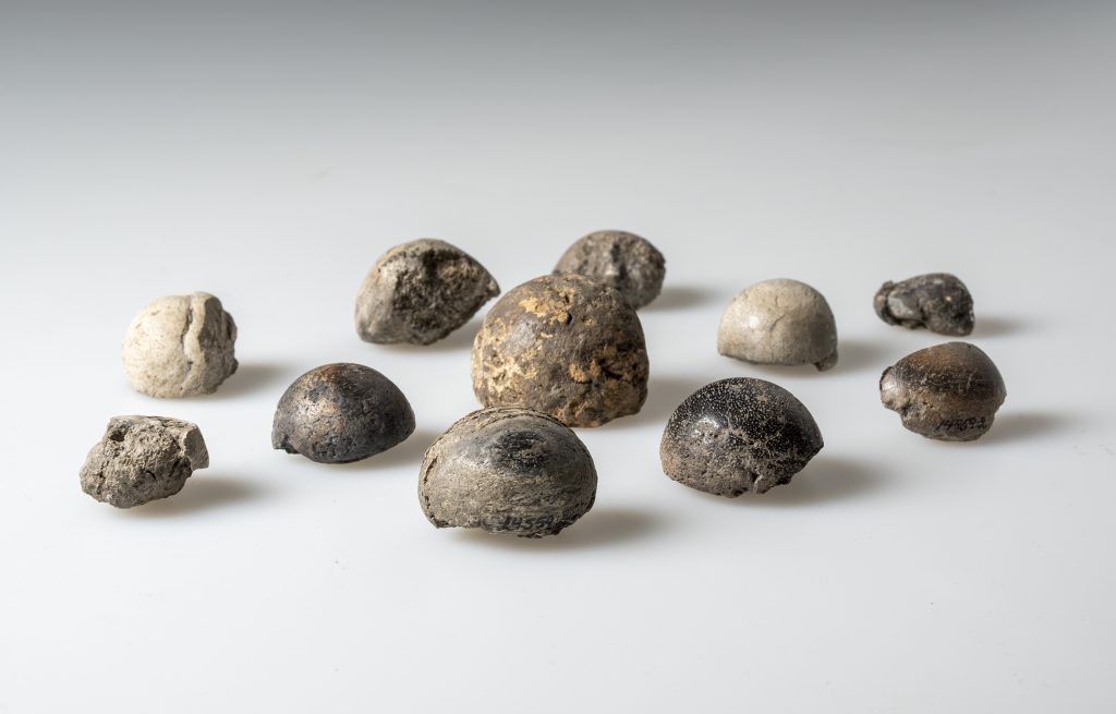 Spelpjäser i bränd lera och valben mot vit bakgrund.