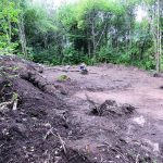 Bifacialt flinthantverk