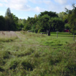 Stenålder i Ervasteby