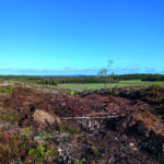 En slakt- och rastplats vid havet