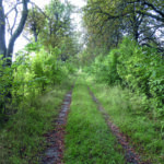 Kallerstadsleden: ny sträckning mellan Tornbyvägen och Kallerstads gamla tomt