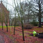 Säbyholms tegelbruk och bränneri