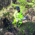 Stenåldersboplatser vid en forntida tjärn
