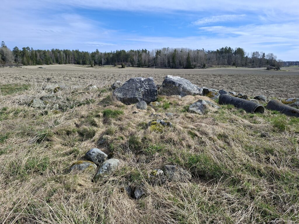 Ett fält/åker med mörk skog i bakgrunden och en blå himmel. Längst fram syns flera stenar i något sorts röse och gräs.