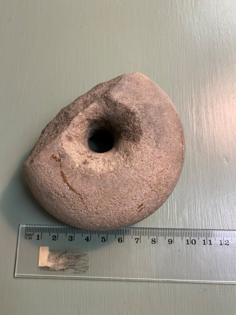 Del av en sländtrissa i sten som är avbruten på ena sidan, ligger på ett ljusgrått underlag och en linjal bredvid. 