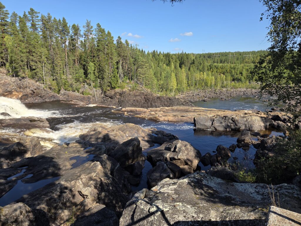 Vacker bild på en skummande fors och stora stenblock, en granskog i bakgrunden mot blå himmel. 