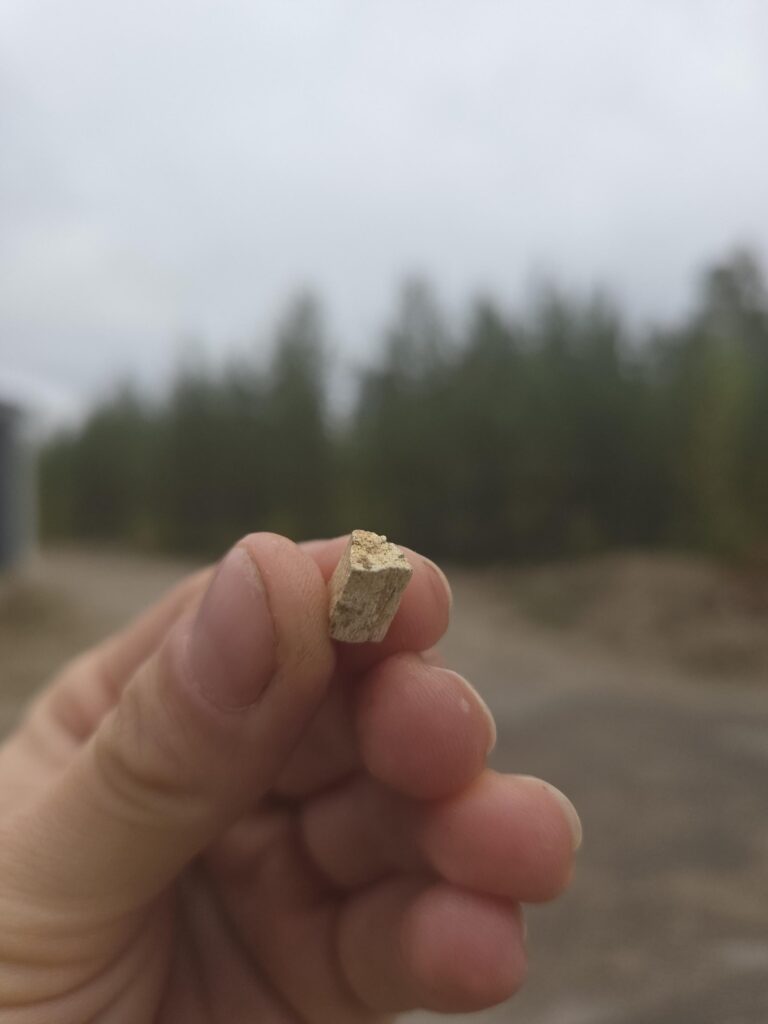 Liten benbit som hålls upp med skog bakom och himmel plus en landsväg.