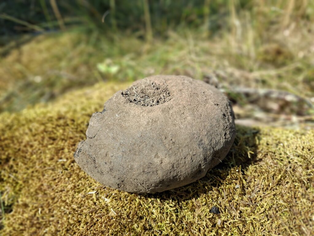 En vävtyngd, som ser ut som en grå sten, som ligger på marken i mossan.