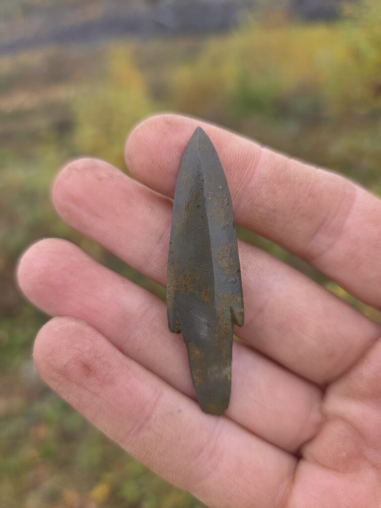 En hand som håller i en pilspets i mörkgrått. I bakgrunden syns skog.